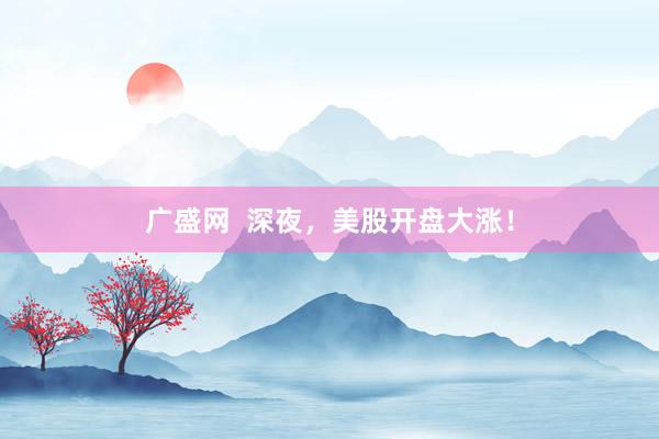 广盛网  深夜，美股开盘大涨！