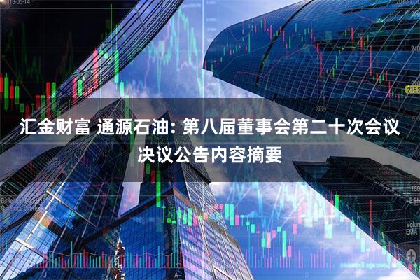 汇金财富 通源石油: 第八届董事会第二十次会议决议公告内容摘要